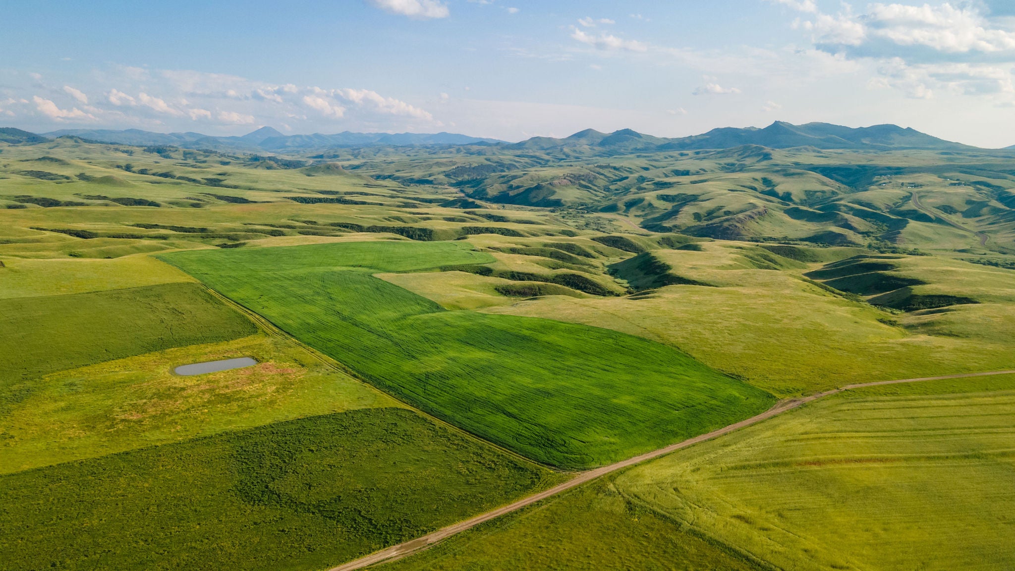 Aerial view of cultivated green fields and rolling hills